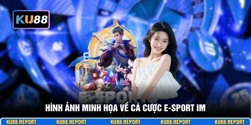 Hình ảnh minh họa về cá cược e-sport IM
